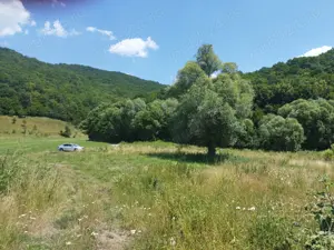 Teren forestier unic cu traseu de drumeție către Cetatea Herecz   77.000 m  în Malnaș, județul Covas - imagine 9
