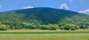 Teren forestier unic cu traseu de drumeție către Cetatea Herecz   77.000 m  în Malnaș, județul Covas