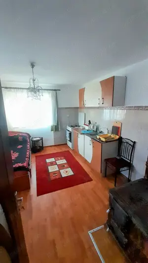 Casa individuala cu teren 1000m mobilata   Cocorova, Mehedinti    - imagine 9