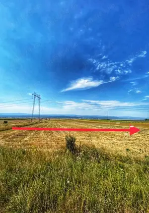 Vând  schimb pământ  - imagine 3