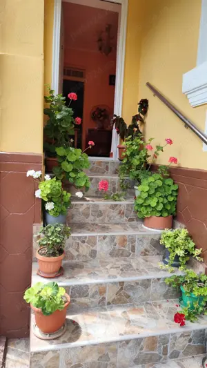  Reducere de preț! Casă cu 5 camere, utilități și 3.5 ha teren   Blejani, com. Scundu - imagine 3