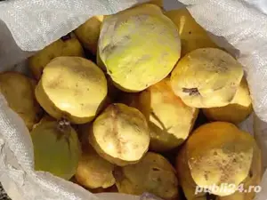 Palinca de Gutui - imagine 2