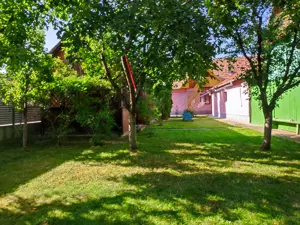 Vând casă cu teren si livadă! - imagine 7