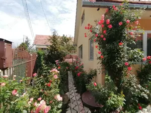 Vand casa 4 camere, Loc. Petelea, la 5,5 km de Reghin, Mures   - imagine 3