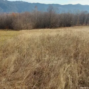 Vand teren comuna Spulber Vrancea - imagine 4