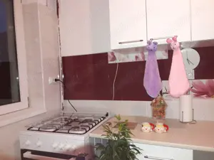 Apartament doua camere Bucurestii Noi - imagine 3