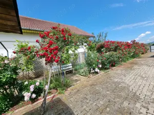 Casa de vânzare Simeria - imagine 7