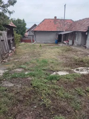 Vand casa la tara sat Petrisat - imagine 5