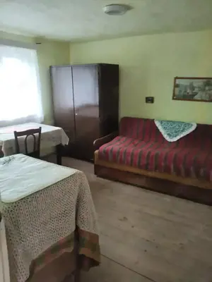 Vand casa la tara sat Petrisat - imagine 3