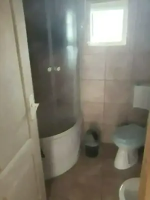 Vand casa la tara sat Petrisat - imagine 2