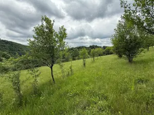 Vand Parcele Teren in Resita in spate la Jandarmerie  - imagine 3