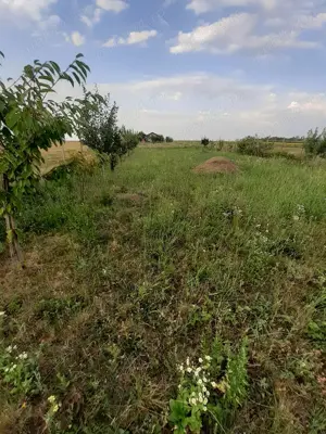 Teren extravilan de vanzare - imagine 3