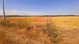 Teren pentru casă/case în Brănești pe strada Toporași - imagine 19