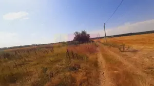 Teren pentru casă/case în Brănești pe strada Toporași - imagine 12