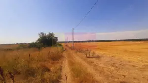 Teren pentru casă/case în Brănești pe strada Toporași - imagine 14