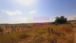 Teren pentru casă/case în Brănești pe strada Toporași - imagine 13