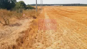 Teren pentru casă/case în Brănești pe strada Toporași - imagine 2