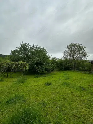 Vand casa 4 camere cu gradina 2.885 mp. Cristioru de Jos, Bihor, E 79, centrul comunei - imagine 9