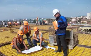 Angajam echipa dulgheri - imagine 2