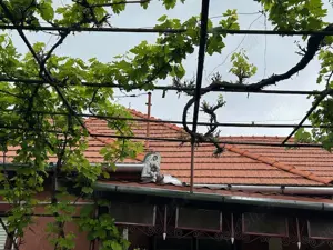 Vânzare Casă în Rusii-Munți, Județul Mureș - imagine 4