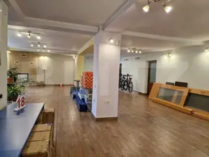 Casa deosebita individuala  cu spatiu comercial ,se vand impreuna zona Centru