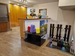 Casa deosebita individuala  cu spatiu comercial ,se vand impreuna zona Centru