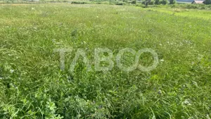 Teren intravilan 3450 mp Boita, 35 m deschidere, la 700 m de A1