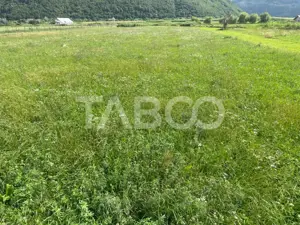 Teren intravilan 3450 mp Boita, 35 m deschidere, la 700 m de A1 - imagine 2