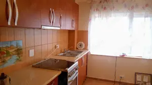 Apartament Snagov ultracentral Debarcader Lac Snagov - Proprietar  - imagine 2