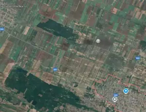 Teren extravilan, loc Densa, Jud Dolj - imagine 3 Teren extravilan, loc Densa, Jud Dolj - imagine 3