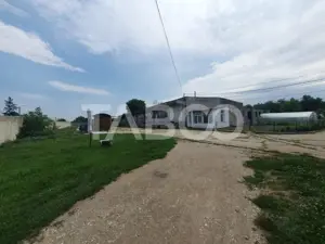 Hala industriala 906 mp + teren liber 4379 mp