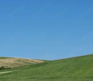 Cota de 1/2 din teren extravilan, comuna Rogova, Jud Mehedinti - imagine 3 Cota de 1/2 din teren extravilan, comuna Rogova, Jud Mehedinti - imagine 3