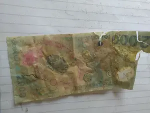 Vand moneda si bancnote cu eclipsa - imagine 3