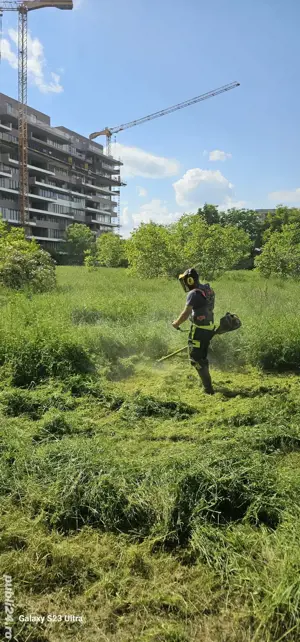 Tai tund iarbă Timișoara, Dumbrăvița, Moșnița Nouă și împrejurimi 