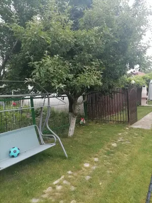 Casa superba la Almas - imagine 20