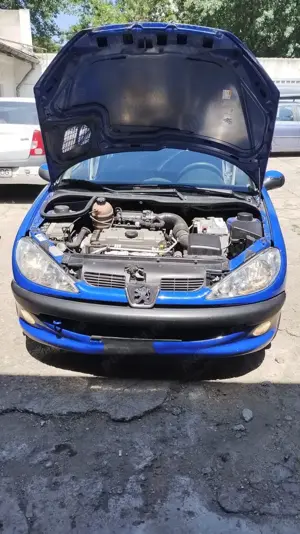 Peugeot 206 sw break - imagine 5