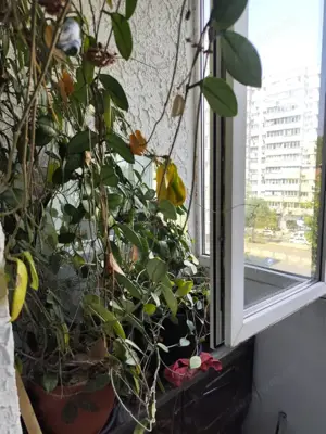 Apartament cu 4 camere decomandat, 90 mp, zona Titulescu - imagine 12