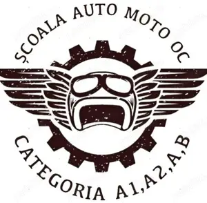 Instructor Auto Categoria B