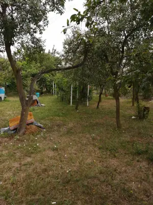 De vanzare  teren cu strada lata de 903 mp, cu casa demolabila , intravilanul vechi  Dumbravita - imagine 4