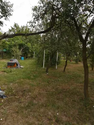 De vanzare  teren cu strada lata de 903 mp, cu casa demolabila , intravilanul vechi  Dumbravita - imagine 3