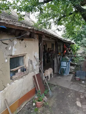De vanzare  teren cu strada lata de 903 mp, cu casa demolabila , intravilanul vechi  Dumbravita - imagine 6