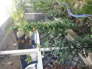 Casa de vanzare Sannicolau Mare  - imagine 7