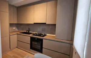 Proprietar Vand apartment Dumbravita Liziera Padurii