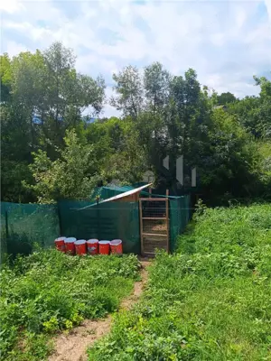 OCAZIE! Ciurbesti TEREN 700mp cu AUT. de CONSTRUCTIE casa parter si utilitati - imagine 3