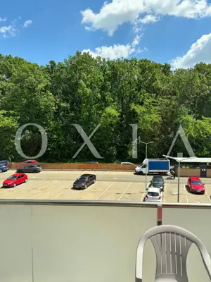 SX597 Dumbravita, Padure (Kaufland), Ideal Investitie - imagine 8