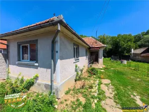 Casa luminoasa de 107 mp pe 1.000mp teren, la 250 m de izvorul cu apa minerala, zona valoroasa :Valc - imagine 9