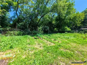 Prietenoasa casa,pe 1.000mp teren, valoroasa zonare:Valcele,Covasna