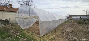 Teren intravilan si casa batraneasca 1313mp  - imagine 4