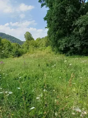 Teren intravilan 15318 m.p. in Piatra neamt str Humariei. - imagine 2