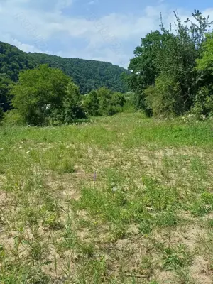 Teren intravilan 15318 m.p. in Piatra neamt str Humariei. - imagine 6